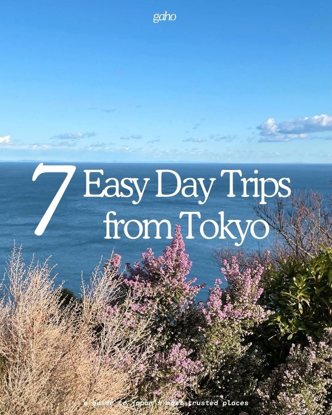 Tokyo Day Trips To Hakone, Kamakura, Nikko, and More