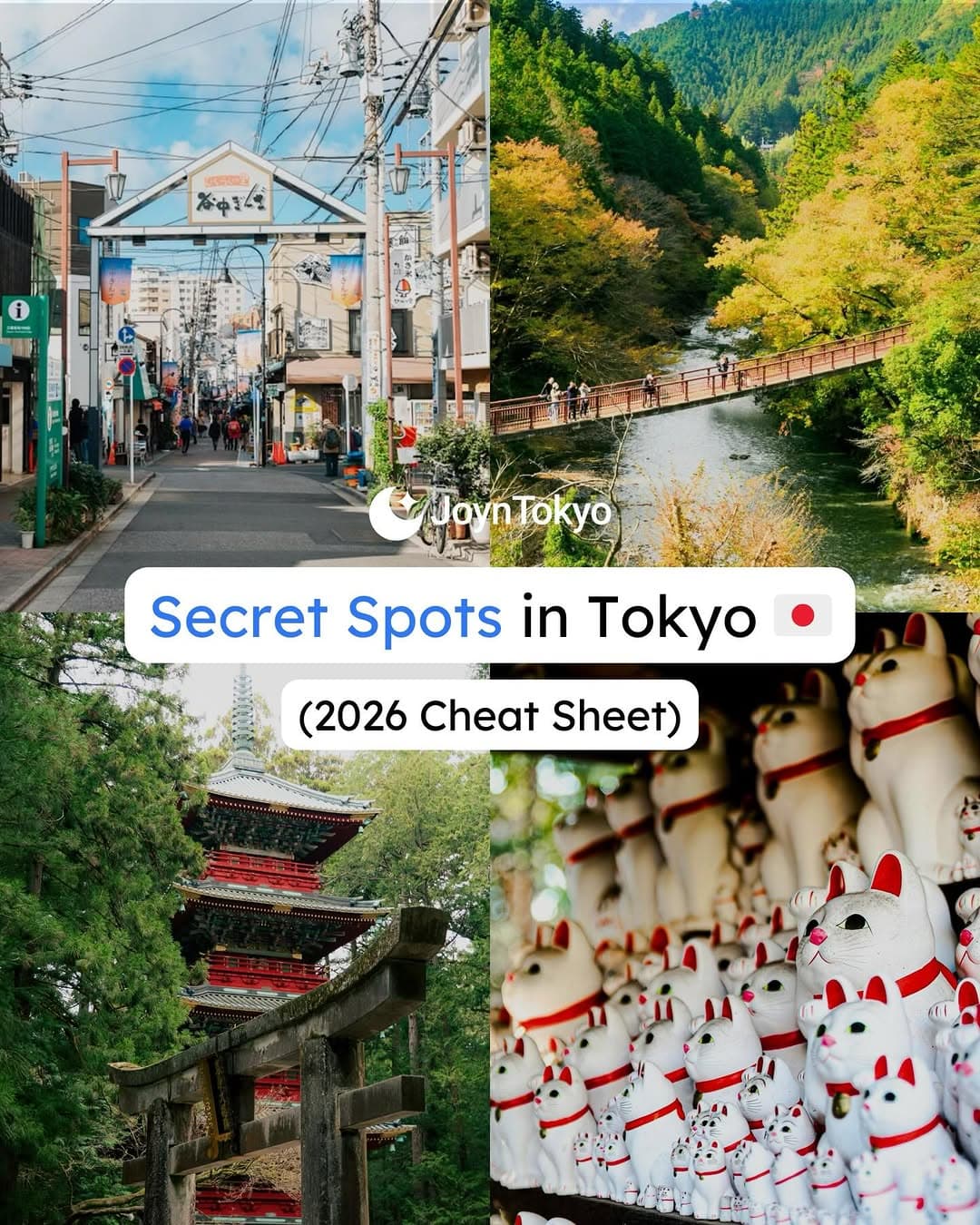 Tokyo's Hidden Gems: Nature, Nostalgia, and Creativity