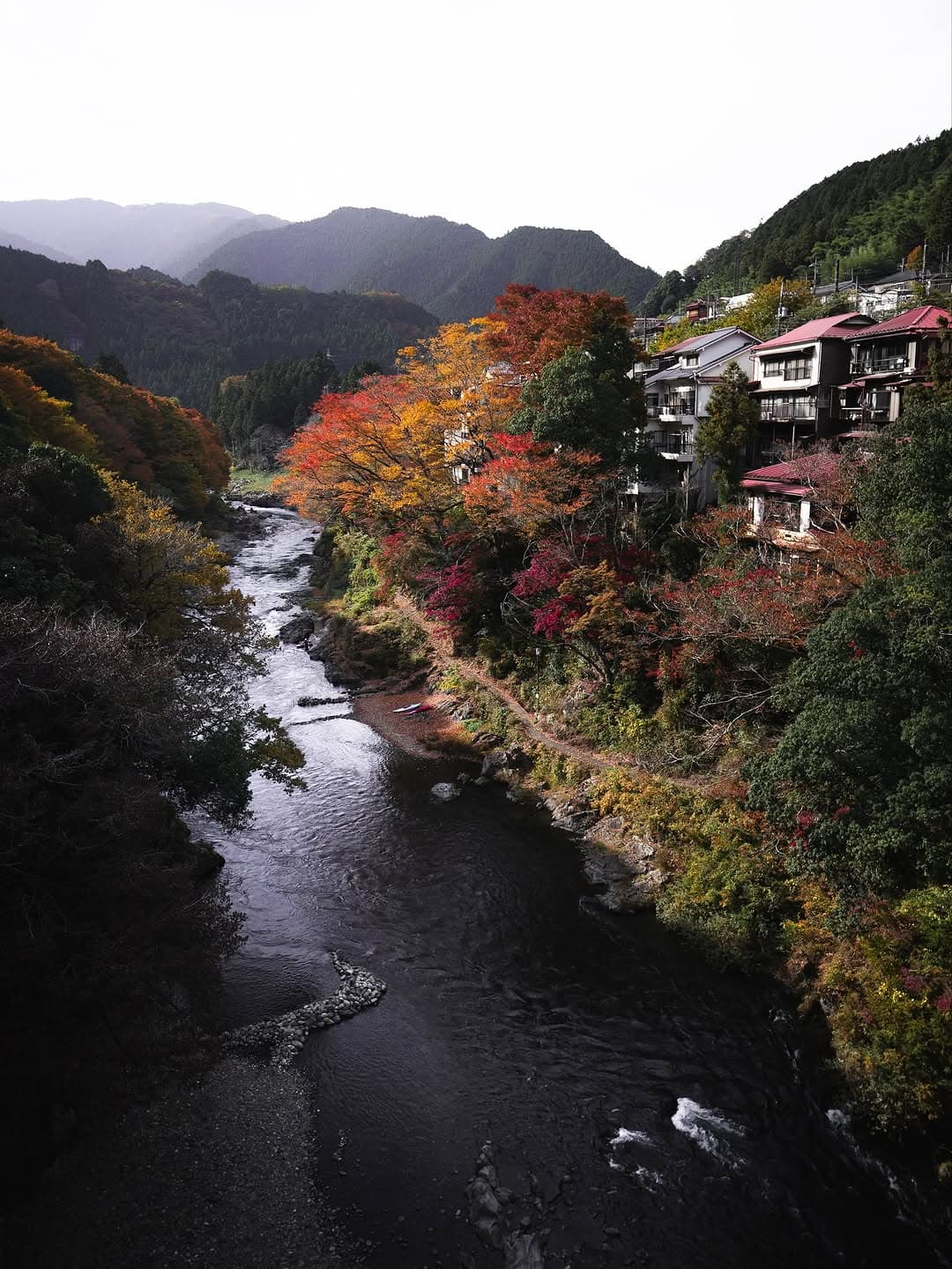 Explore Western Tokyo's Natural Beauty And Fall Colors