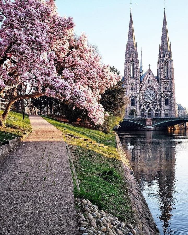 Strasbourg's Majestic Churches And Canals