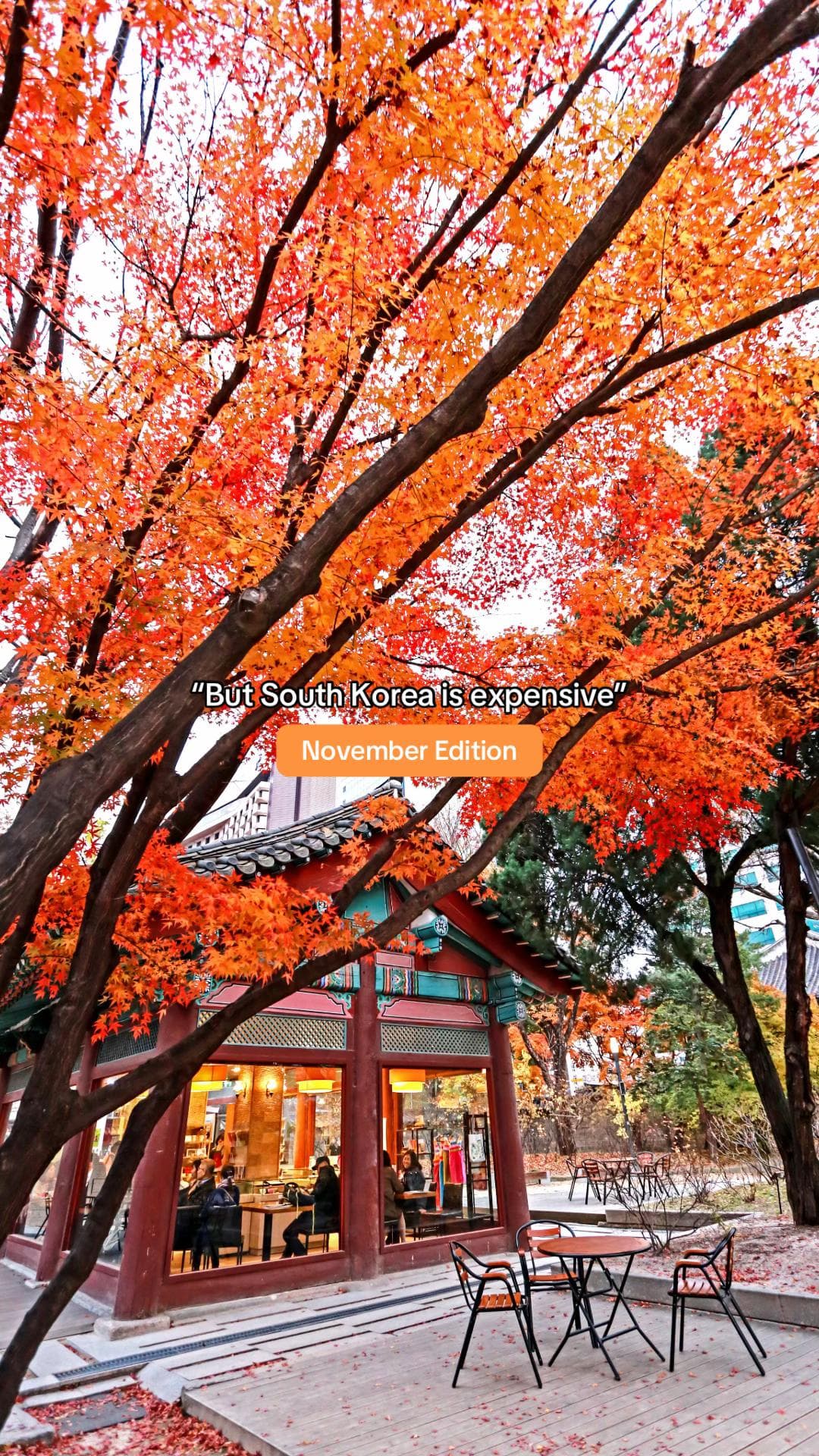 Free November Events at Cheonggyecheon & Lotte World Mall