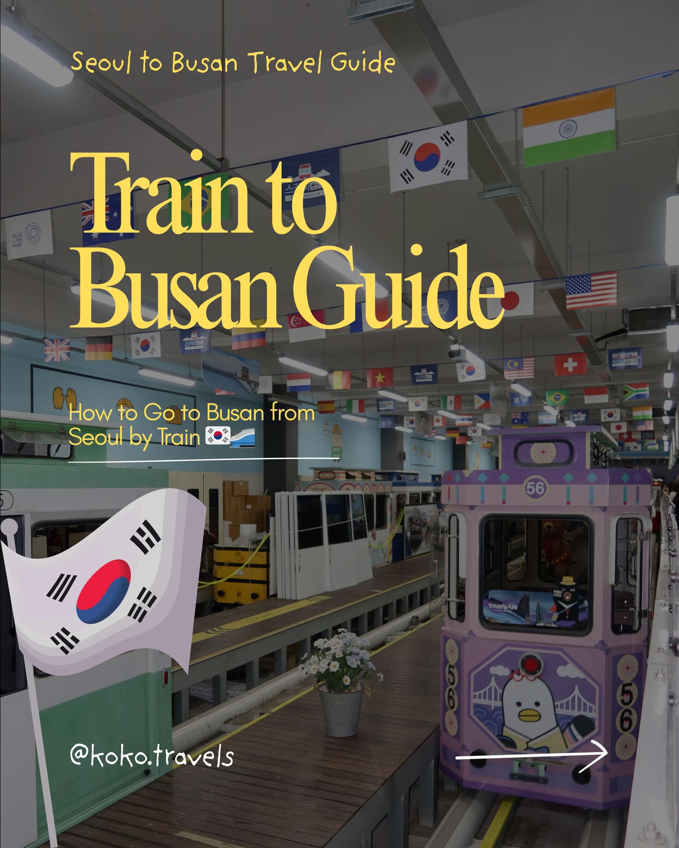 Busan's Beaches, Markets, and Sky Observatory