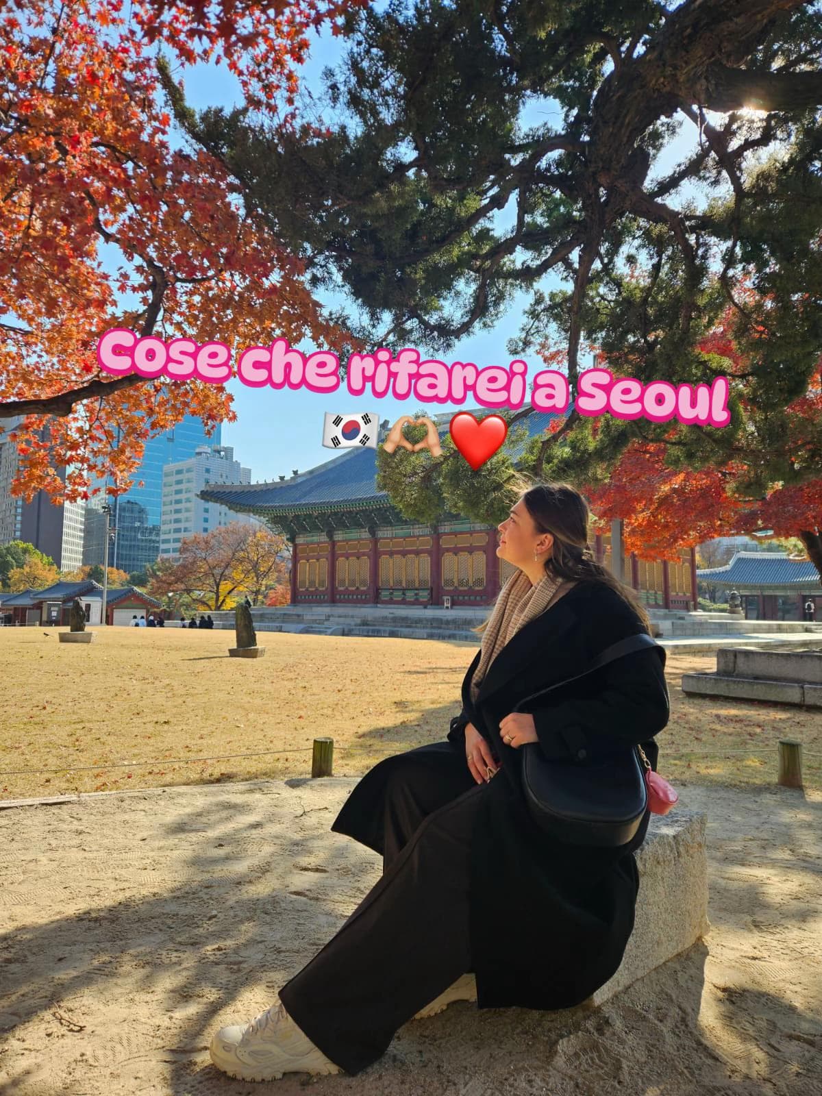 Seoul Sky and Nami Island Adventures