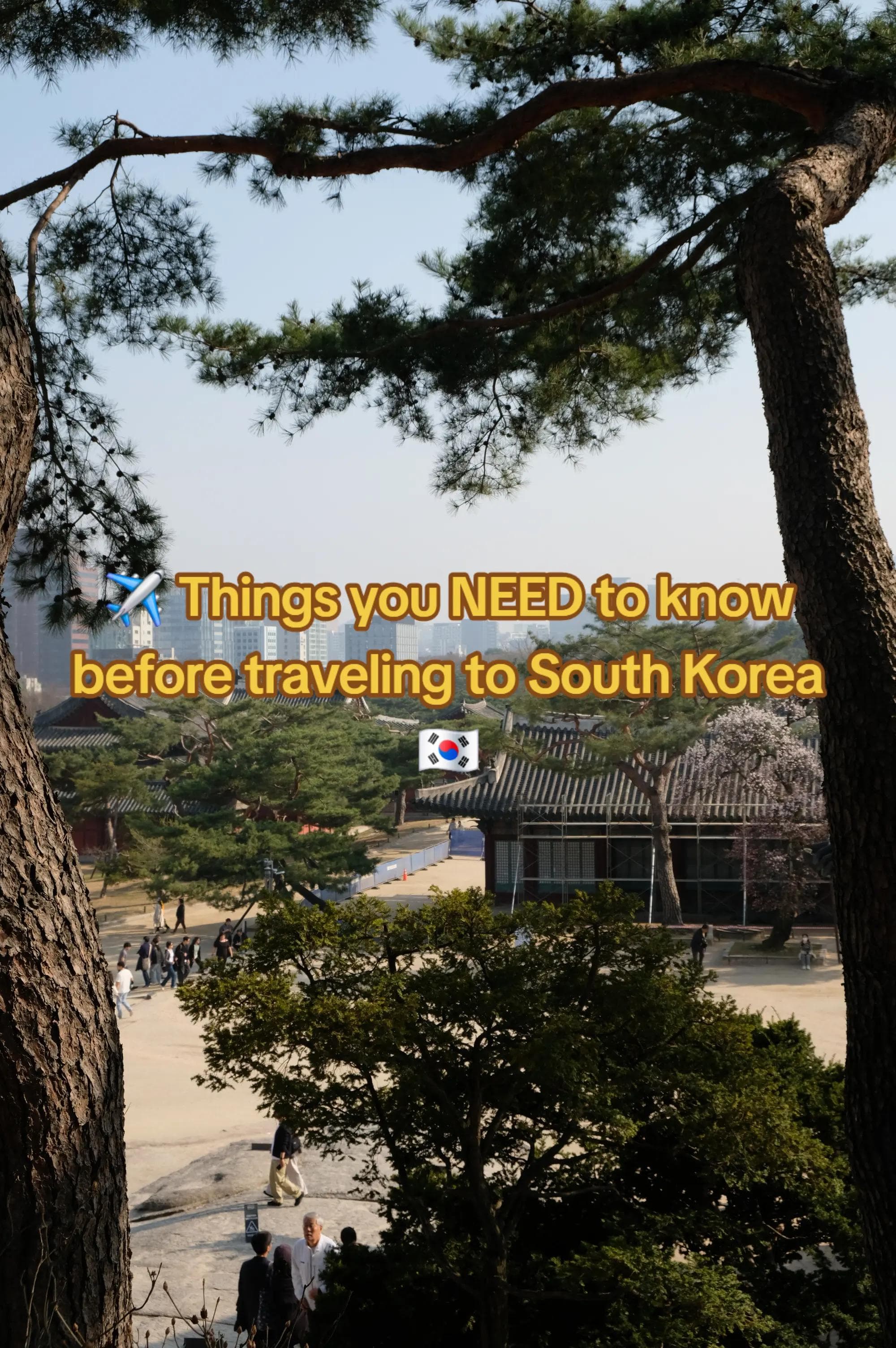 South Korea Travel Tips for First-Time Visitors