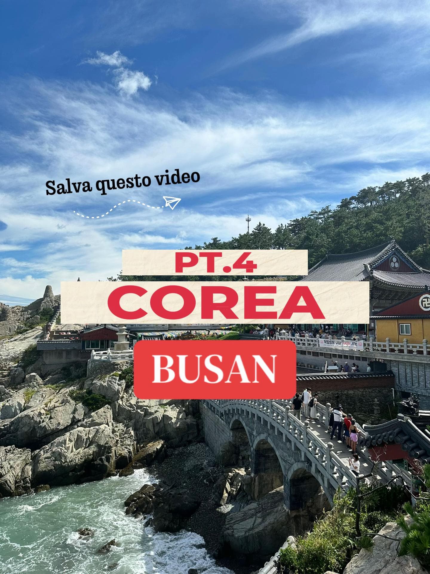 Busan's Best: Culture, Markets, and Coastal Wonders