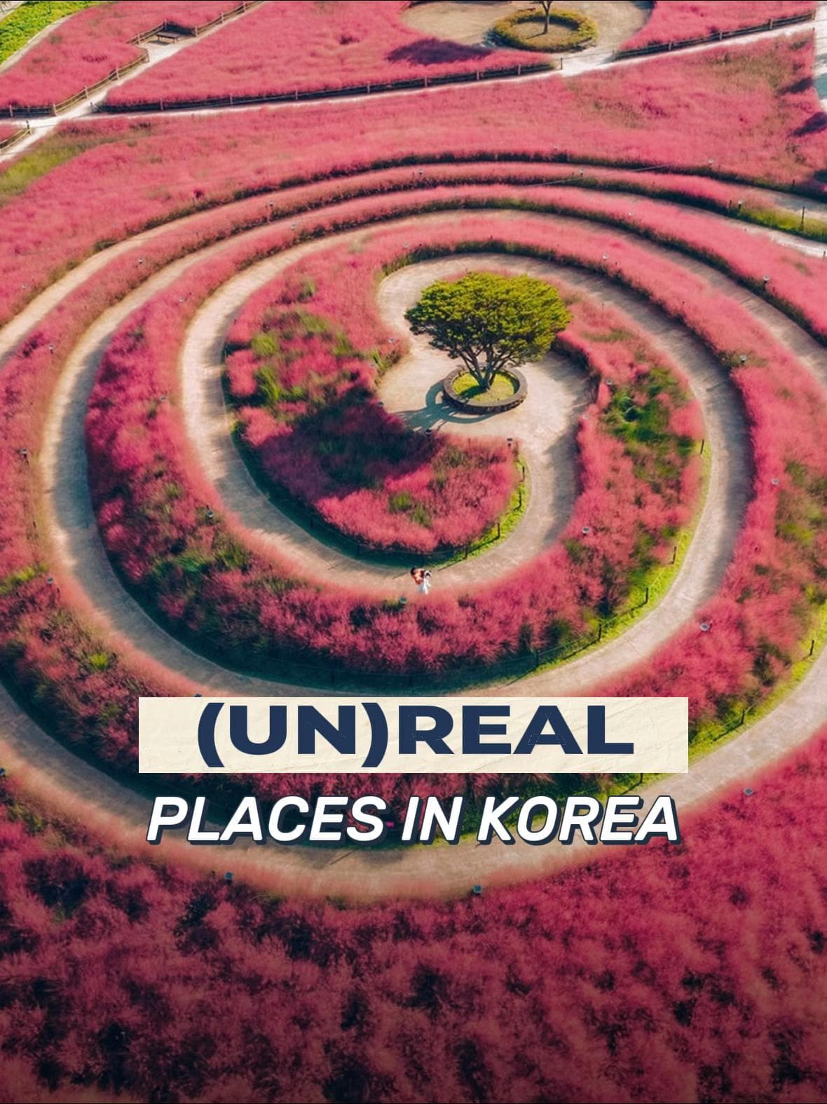 Scenic Spots In South Korea