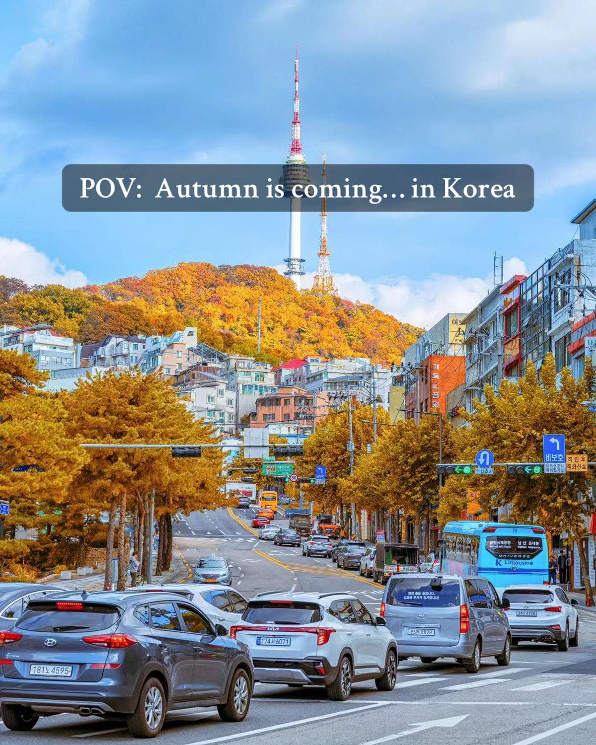 Seoul's Autumn Beauty: Top Spots To Visit