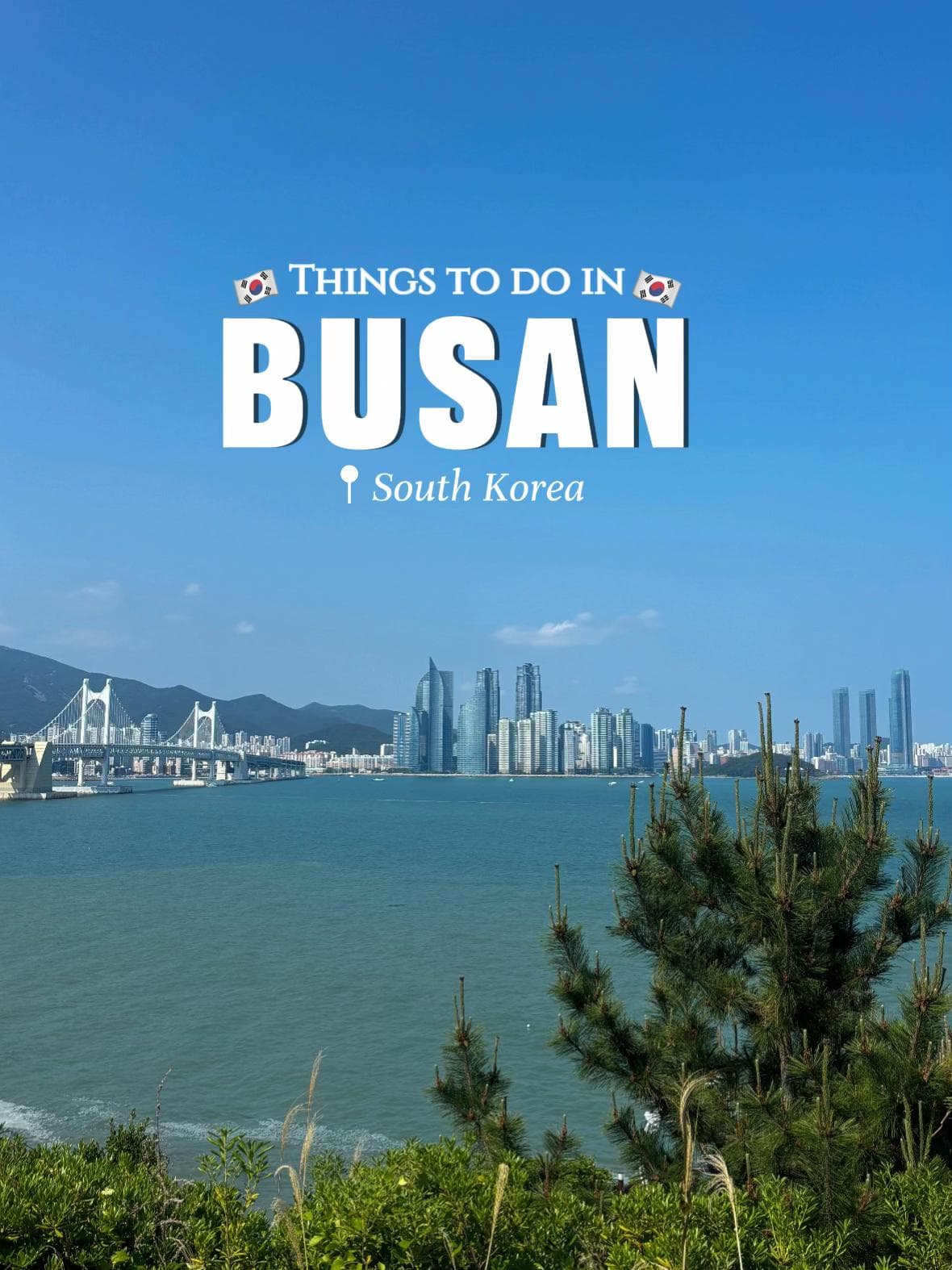 Busan's Must-Visit Spots And Attractions