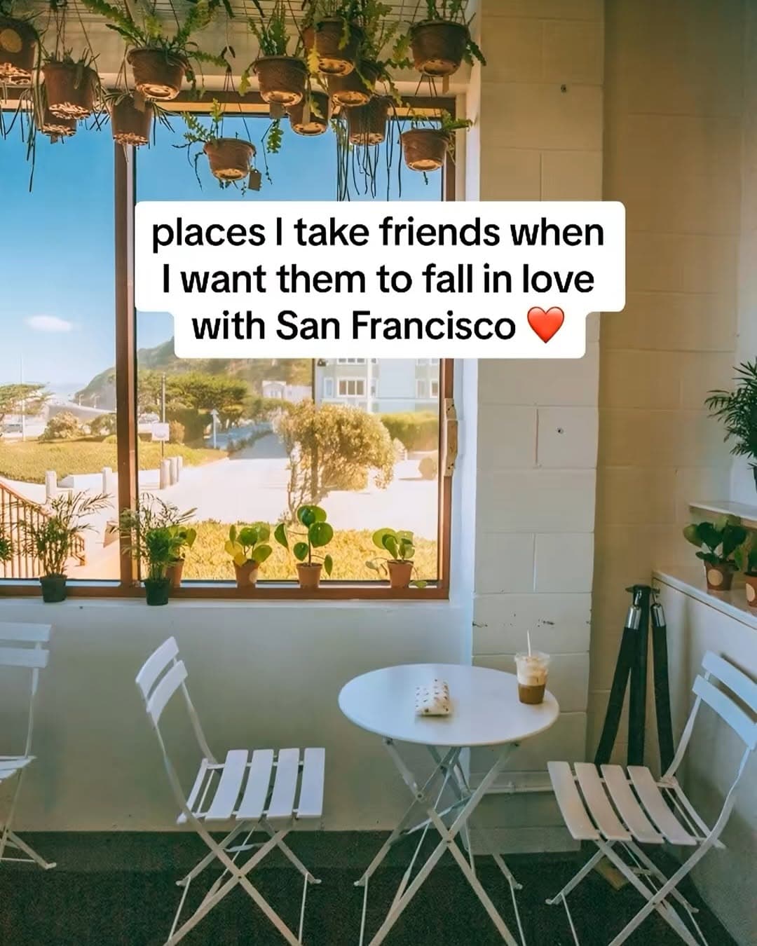 San Francisco's Best Spots For Visitors