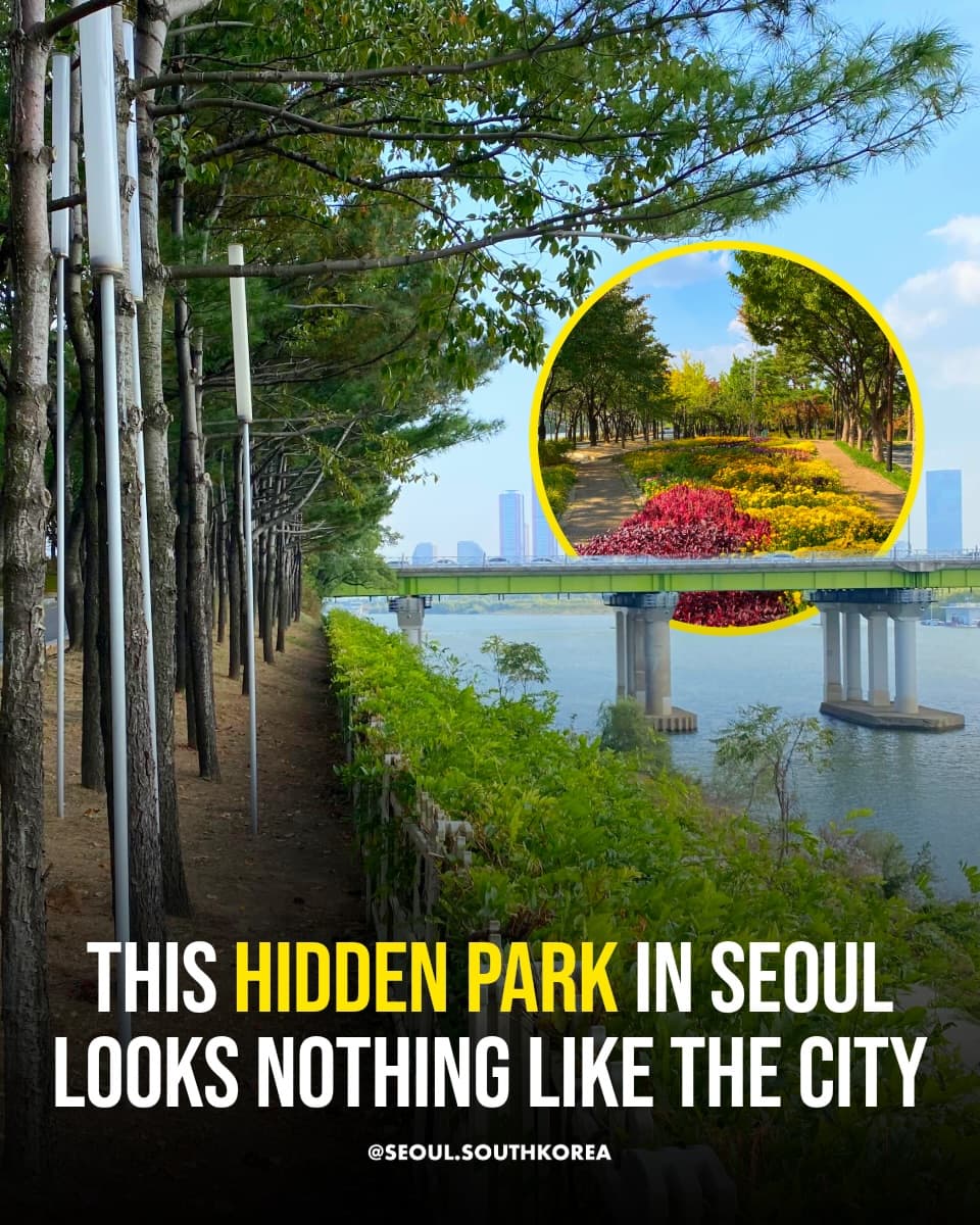 Seoul's Peaceful Riverside Parks and Hangang Views