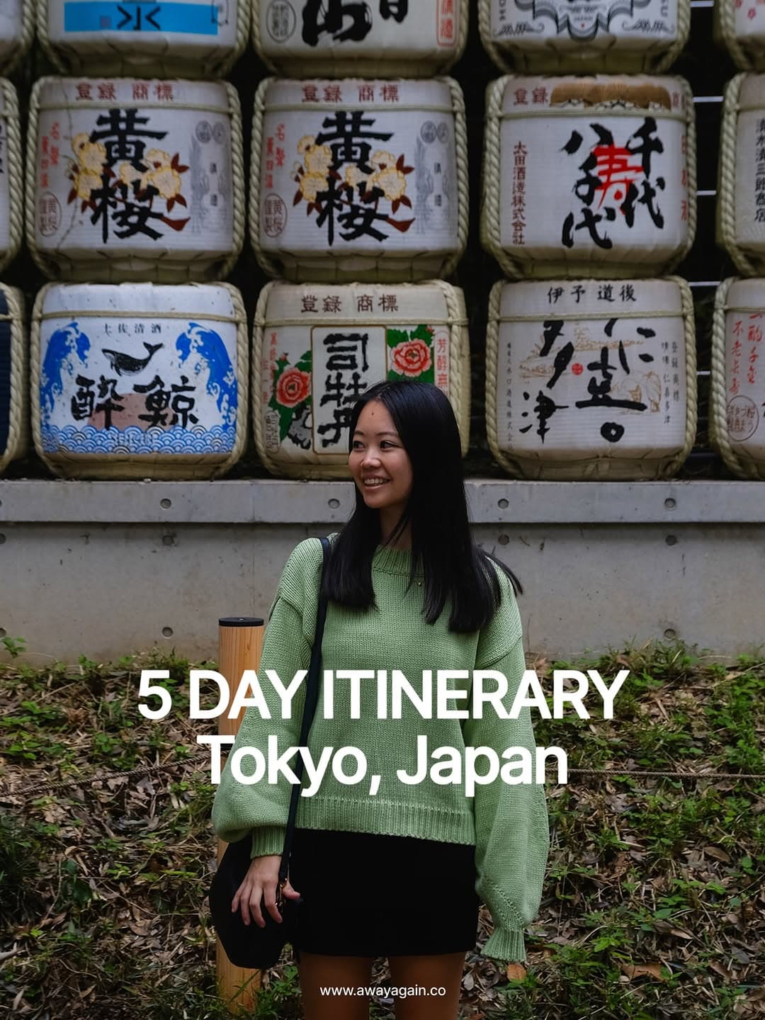 Tokyo's Top Attractions And Dining