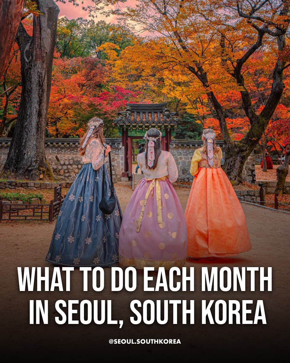 South Korea Seasonal Activities and Attractions