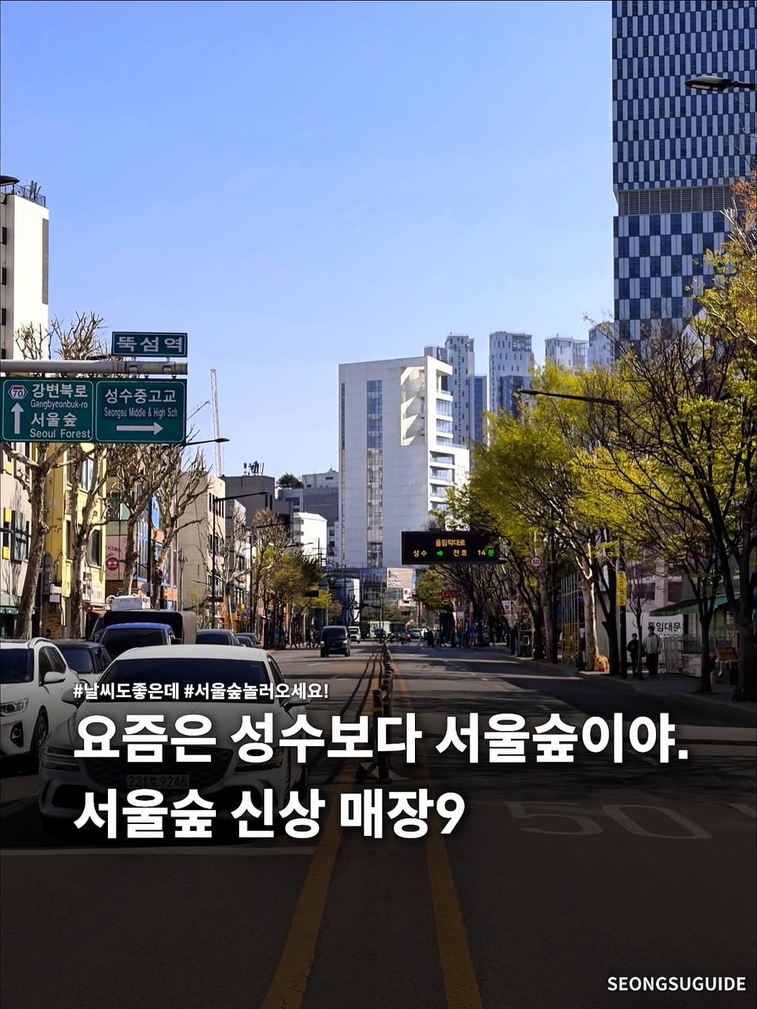 New Stores Near Seoul Forest For Dates