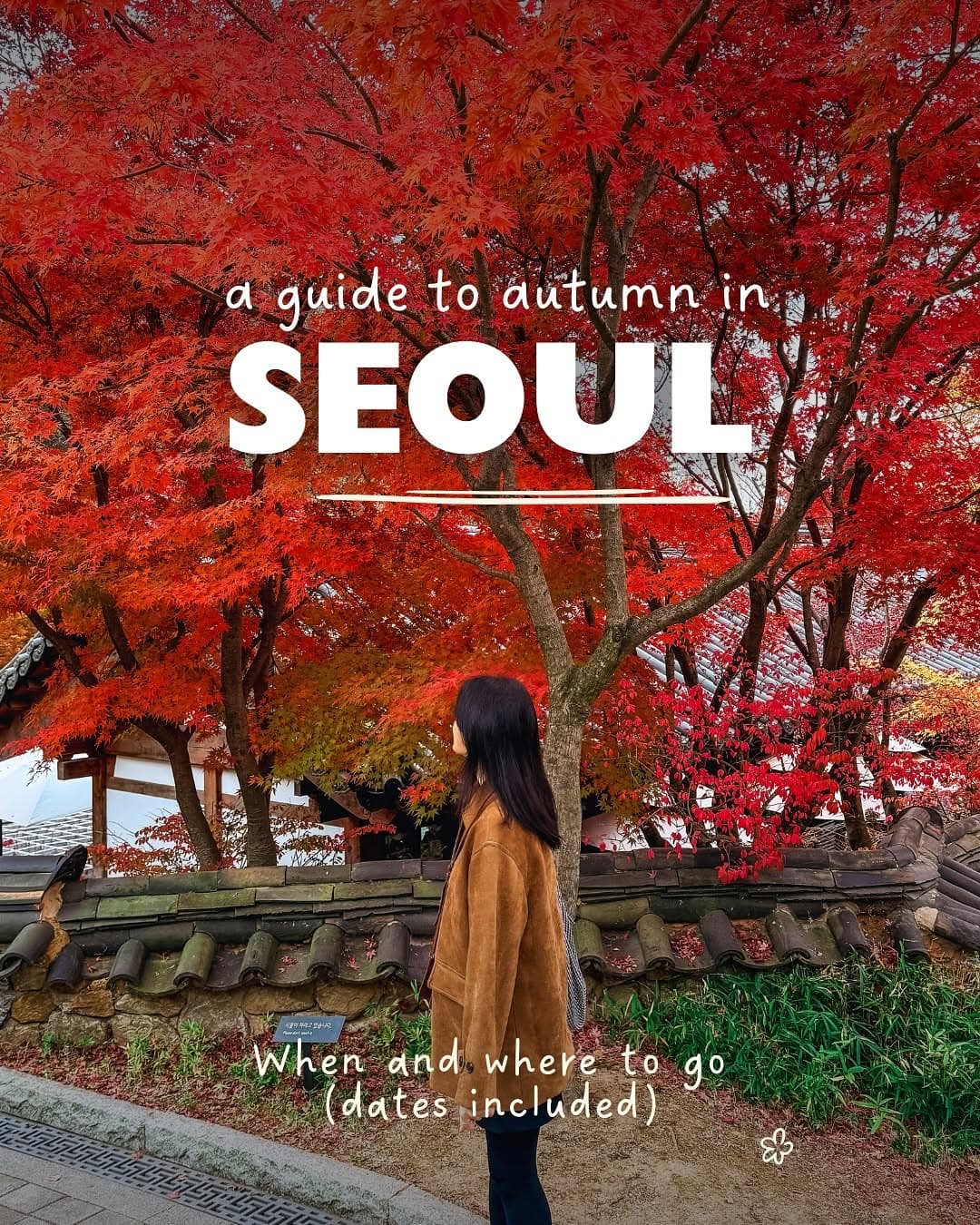 Seoul Autumn Travel Destinations and Tips