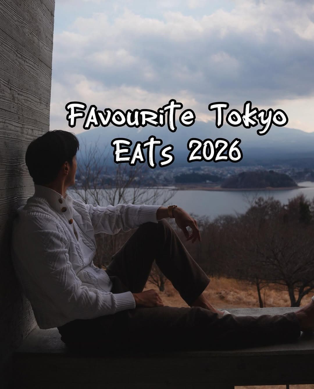 Tokyo's Culinary Delights: A Foodie's Farewell