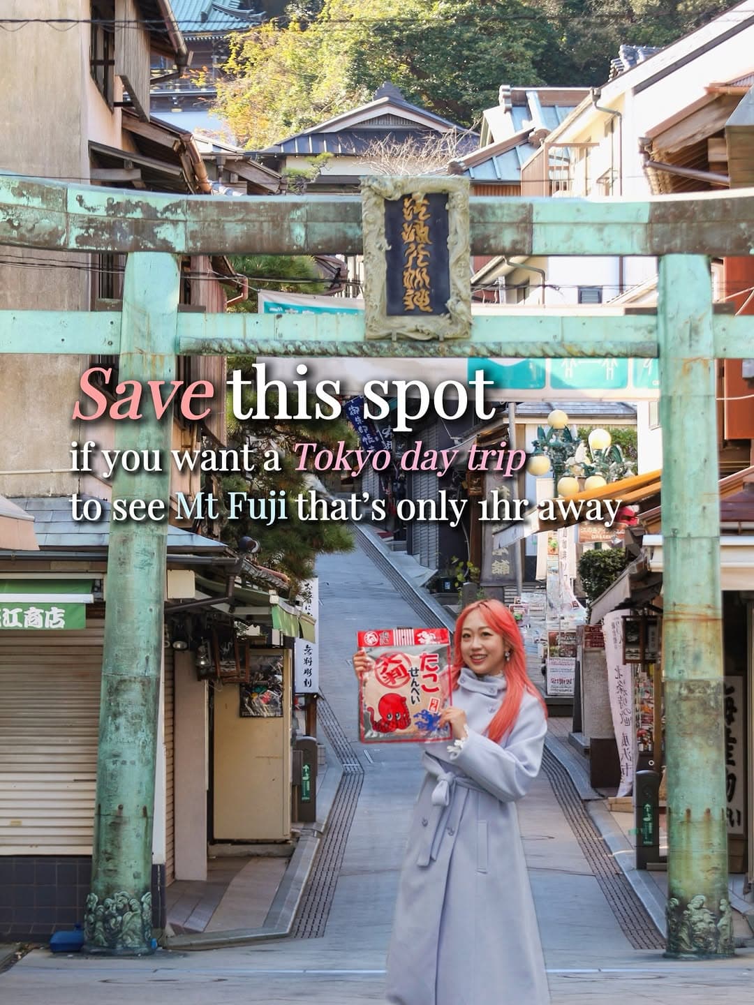 Day Trip to Mount Fuji and Enoshima