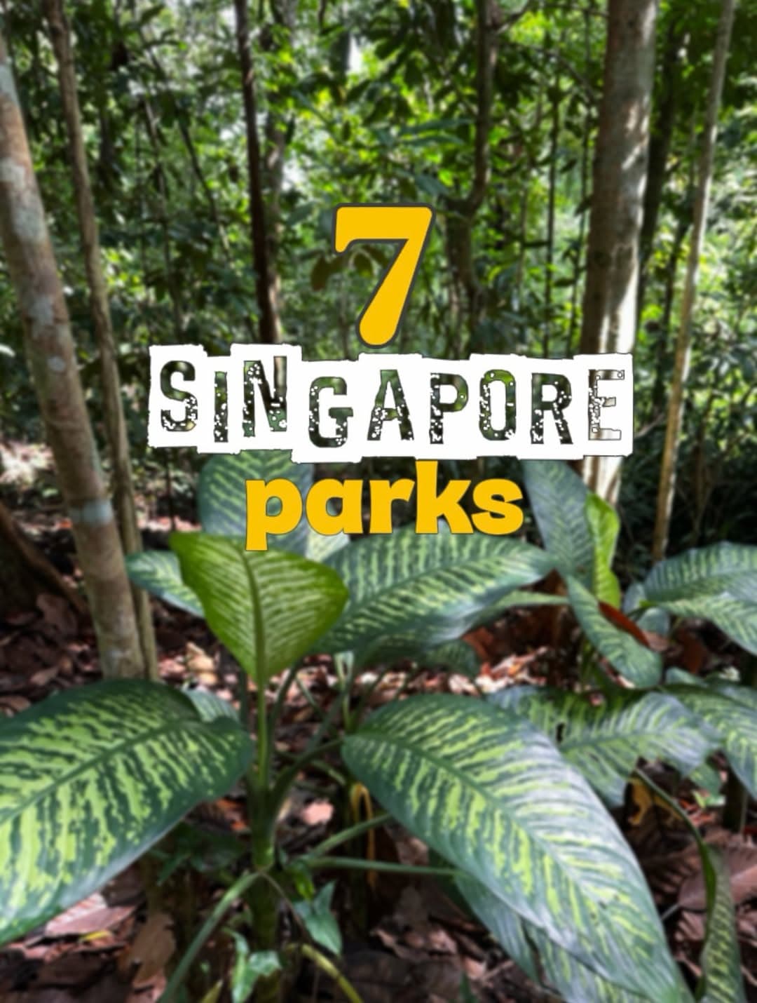 Explore Singapore's Top Nature Parks and Green Spaces