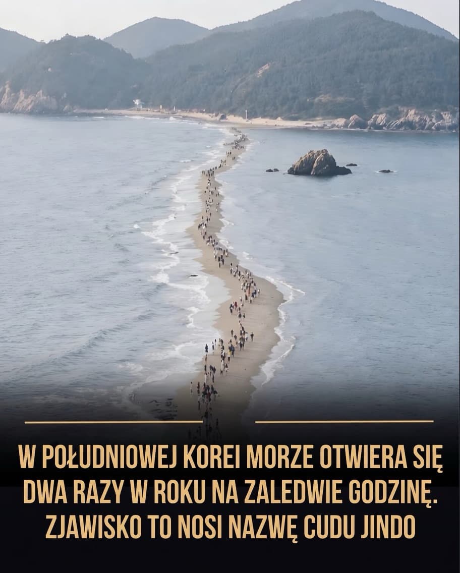 Jindo Sea Parting: A Natural Wonder