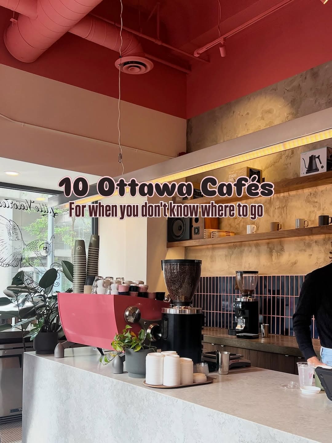 Ottawa Cafés You Need To Try