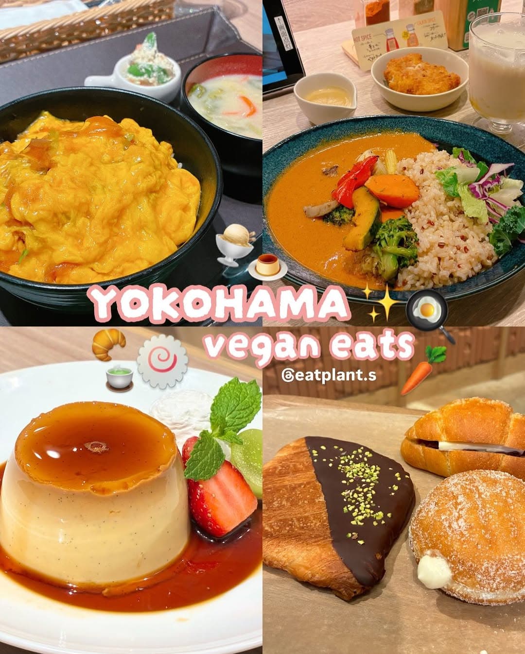 Yokohama Vegan Food Day Trip