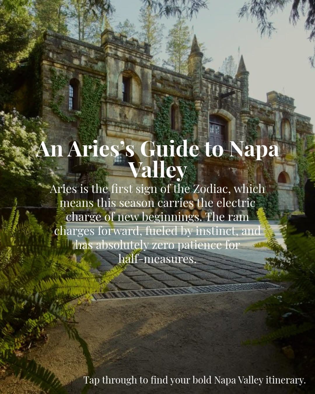 Napa Valley Spring Guide: A Taste of New Beginnings