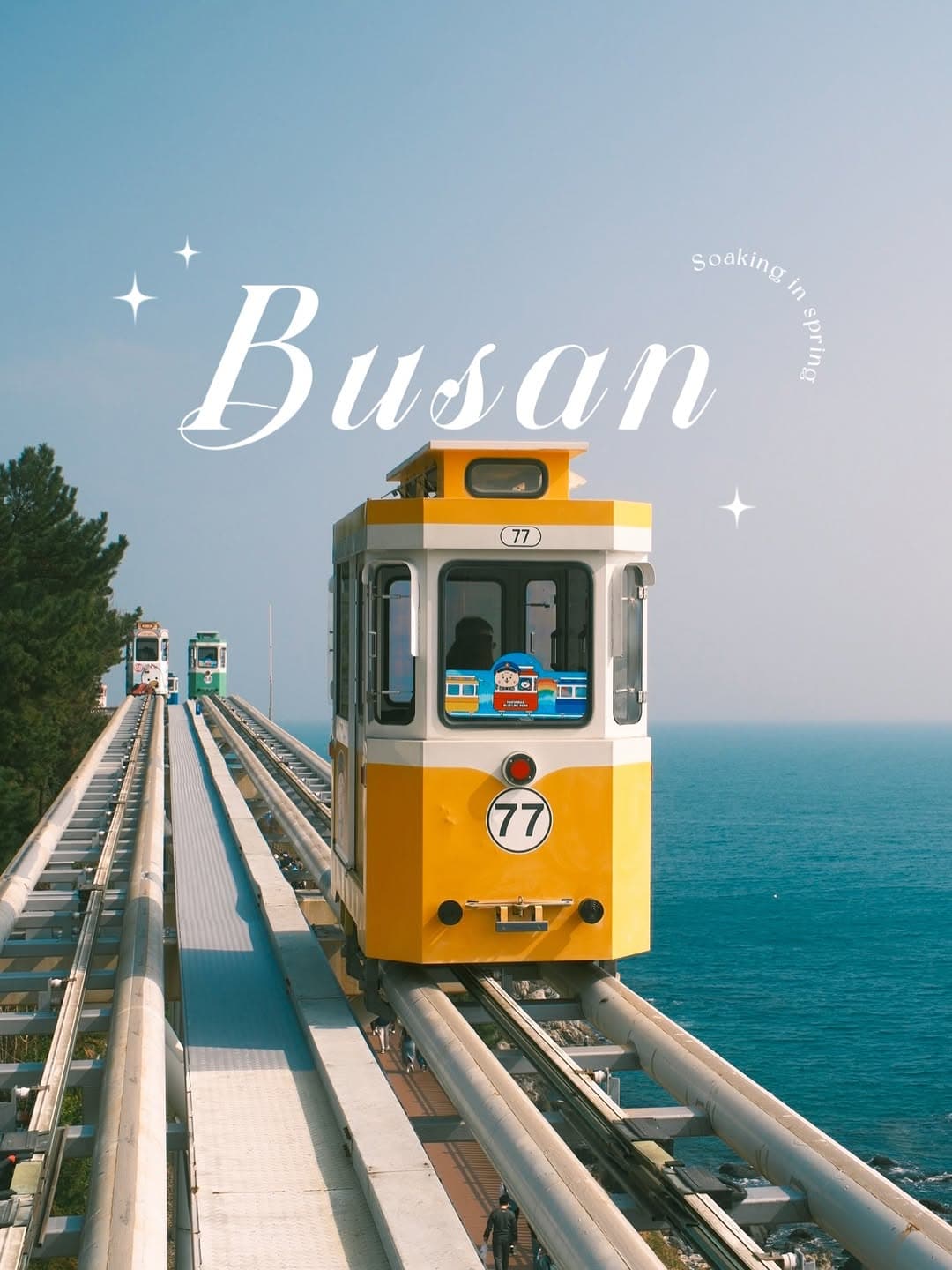 Busan Weekend Trip: Cherry Blossoms and Coastal Charm