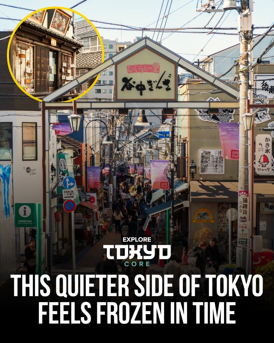 Tokyo's Traditional Side: Yanaka Ginza & Tennōji