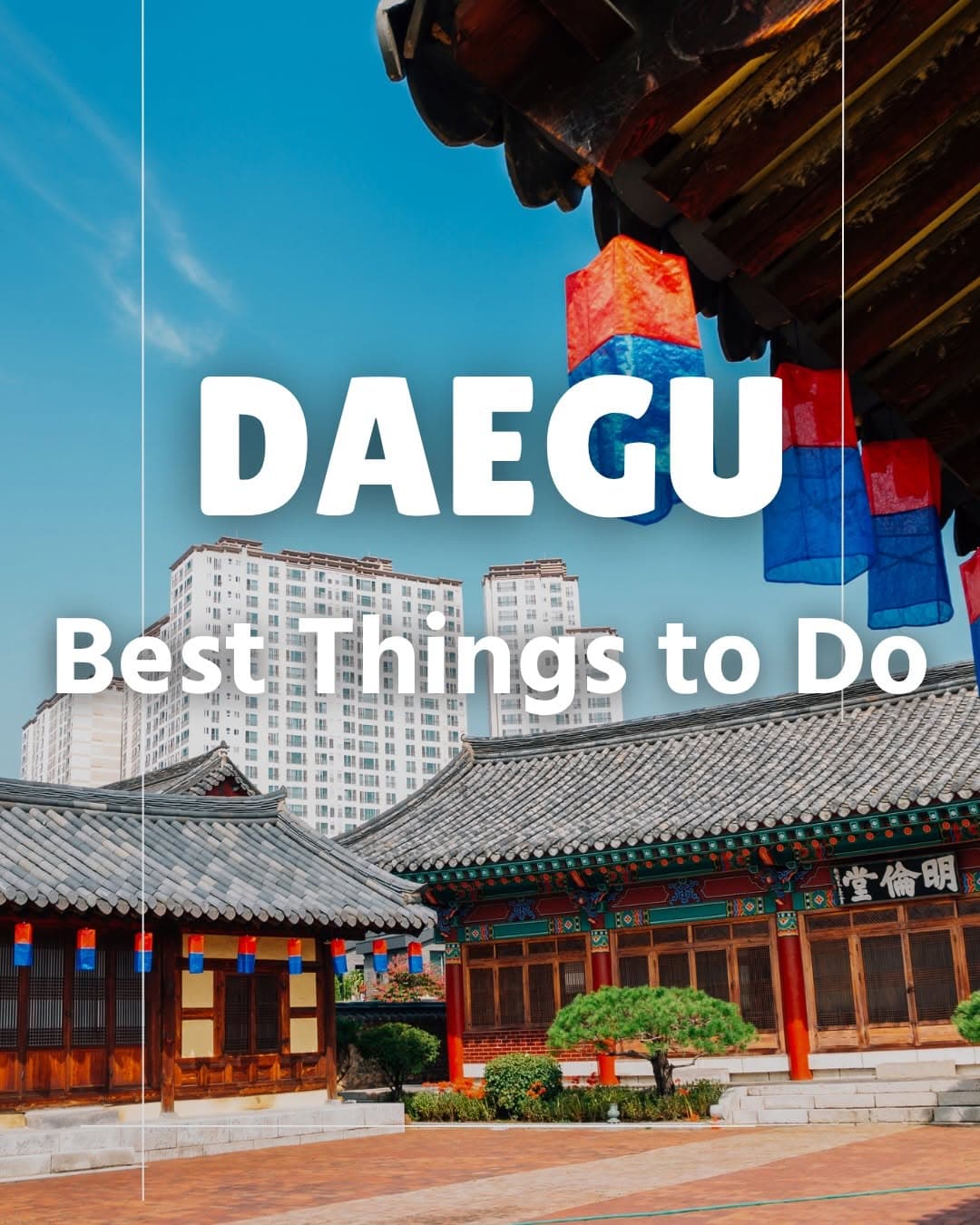 Discovering Daegu: Markets, Towers, and Scenic Spots