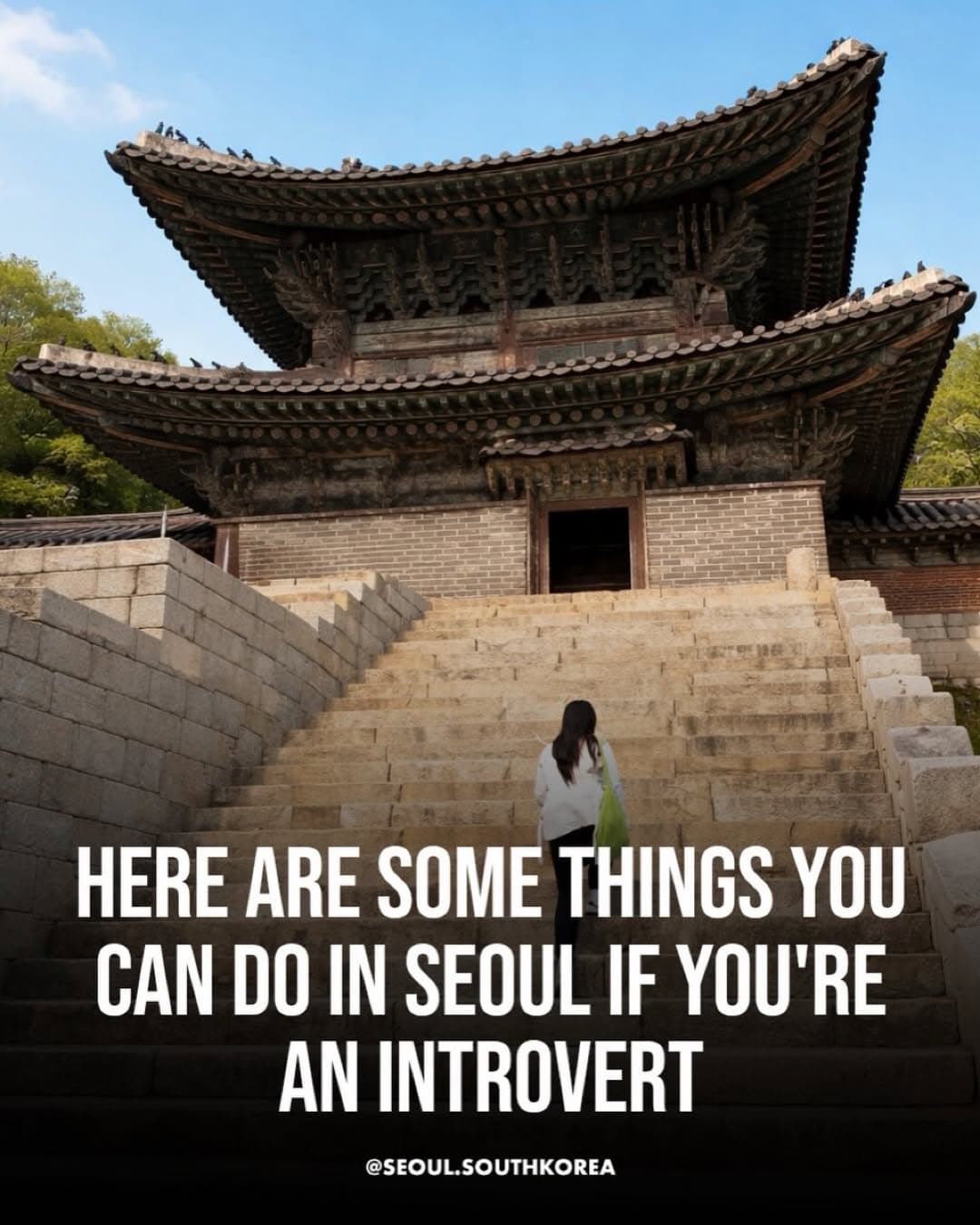 Introvert-Friendly Activities in South Korea