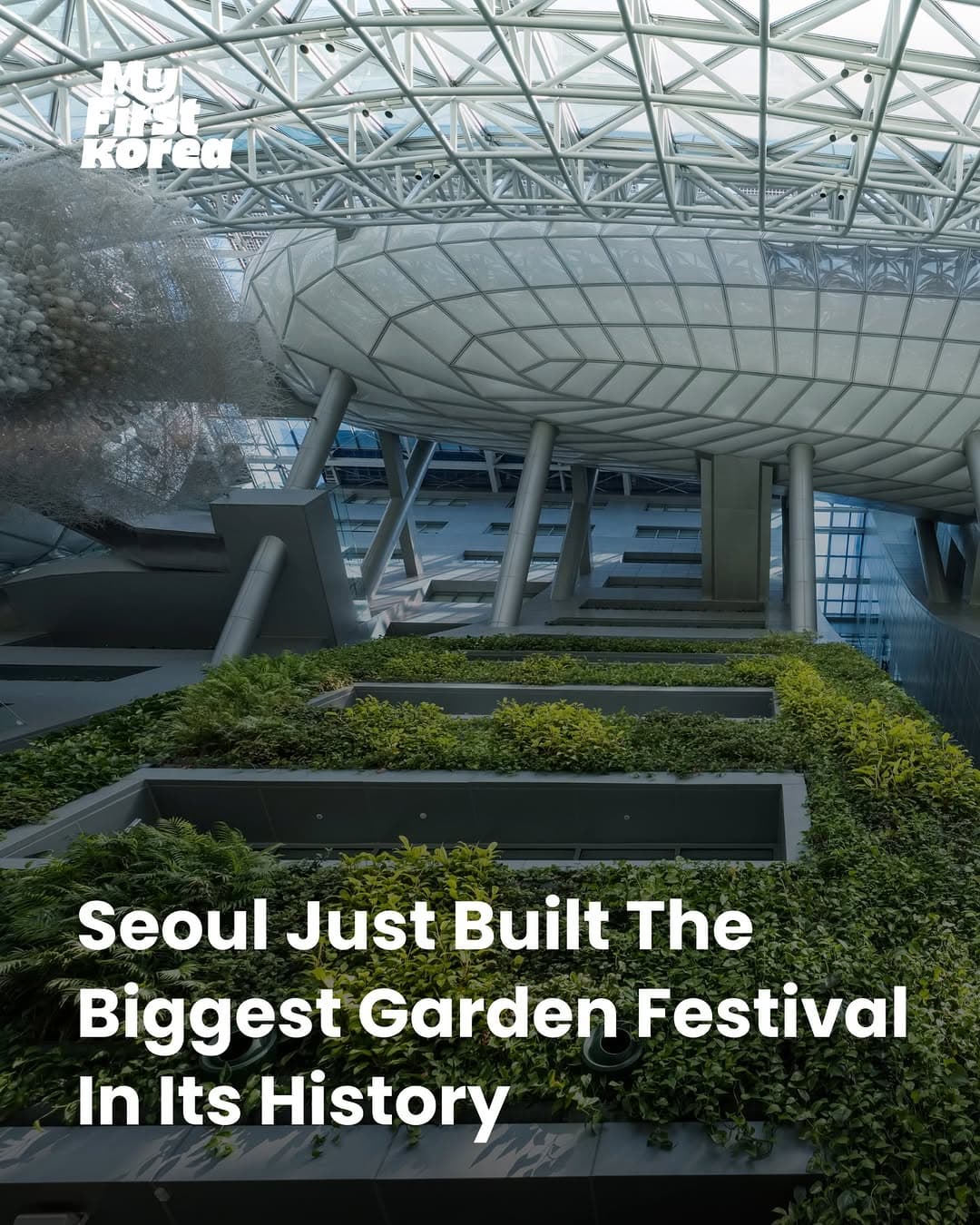 Seoul Garden Show Transforms Parks into Garden City