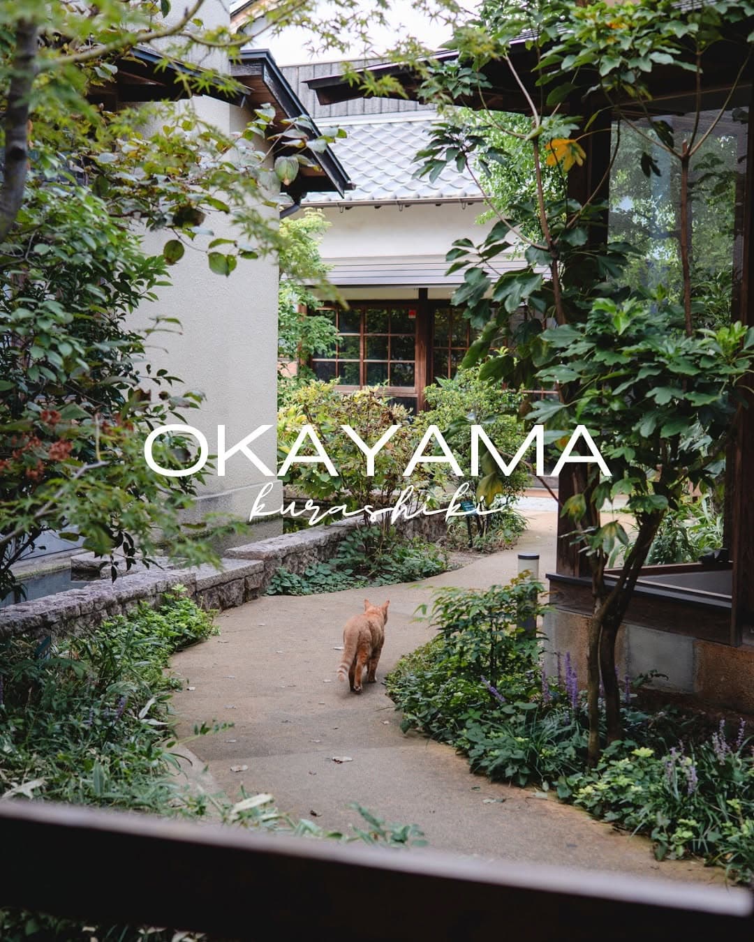 Morning Spots in Kurashiki Bikan Historical Quarter