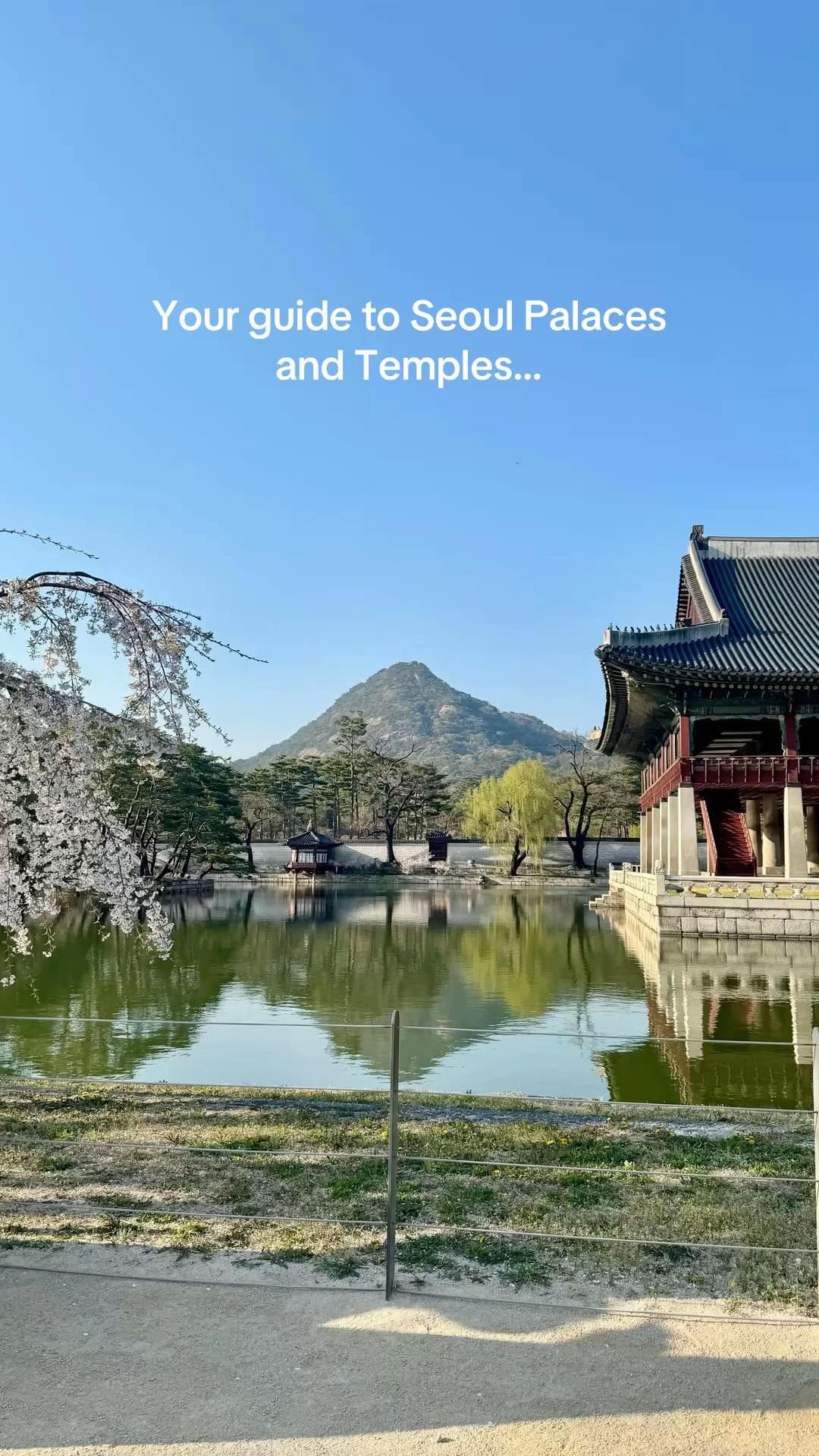 Seoul's Historic Palaces and Temples