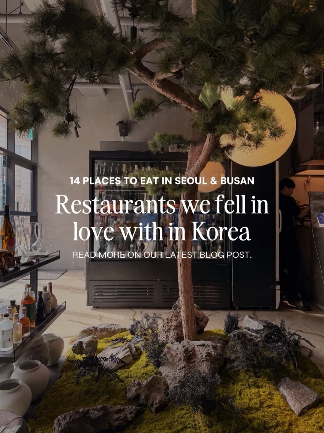 Seoul and Busan Favorite Food and Drink Spots