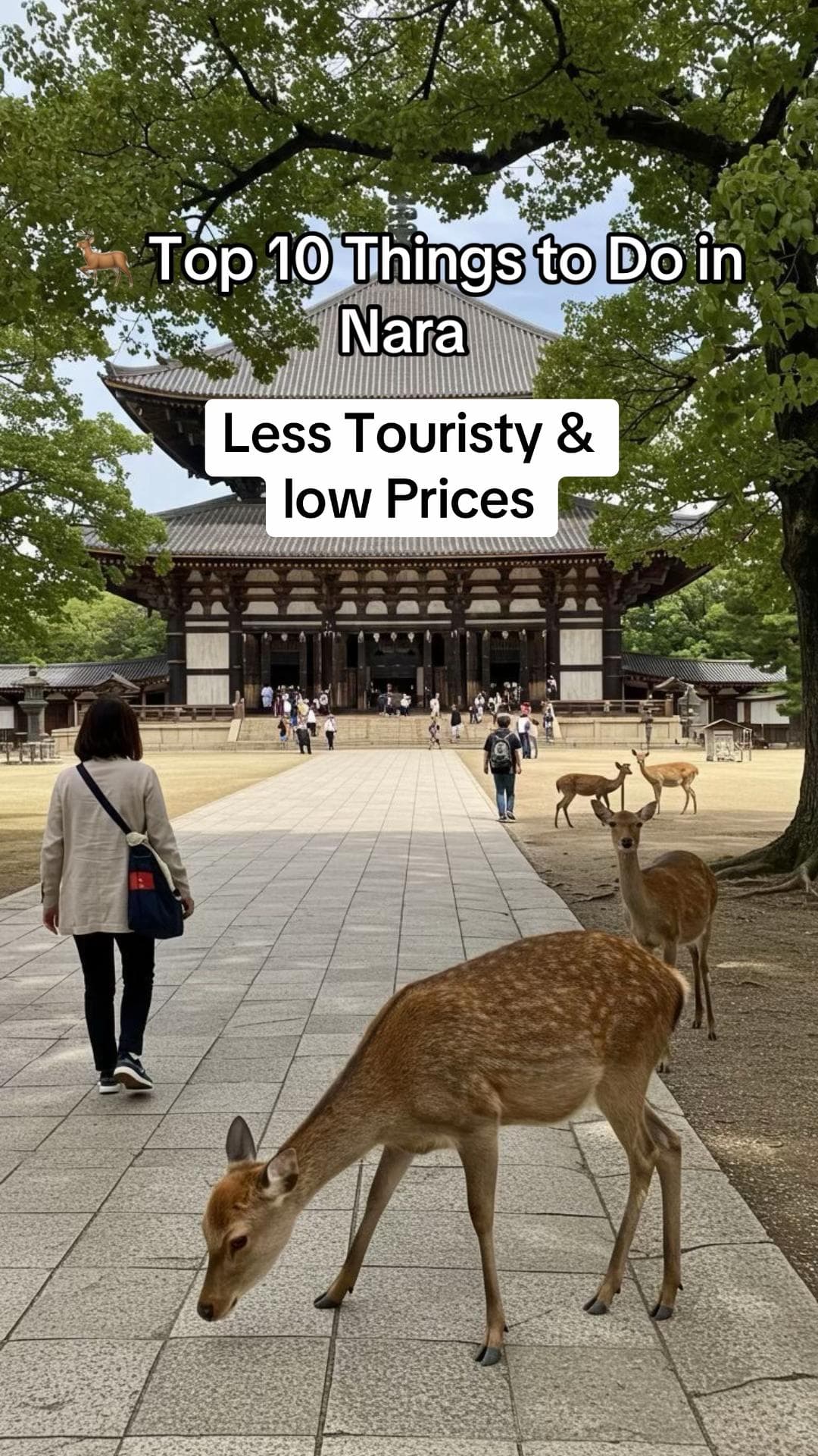 Nara's Gardens, Temples, and Historic Districts