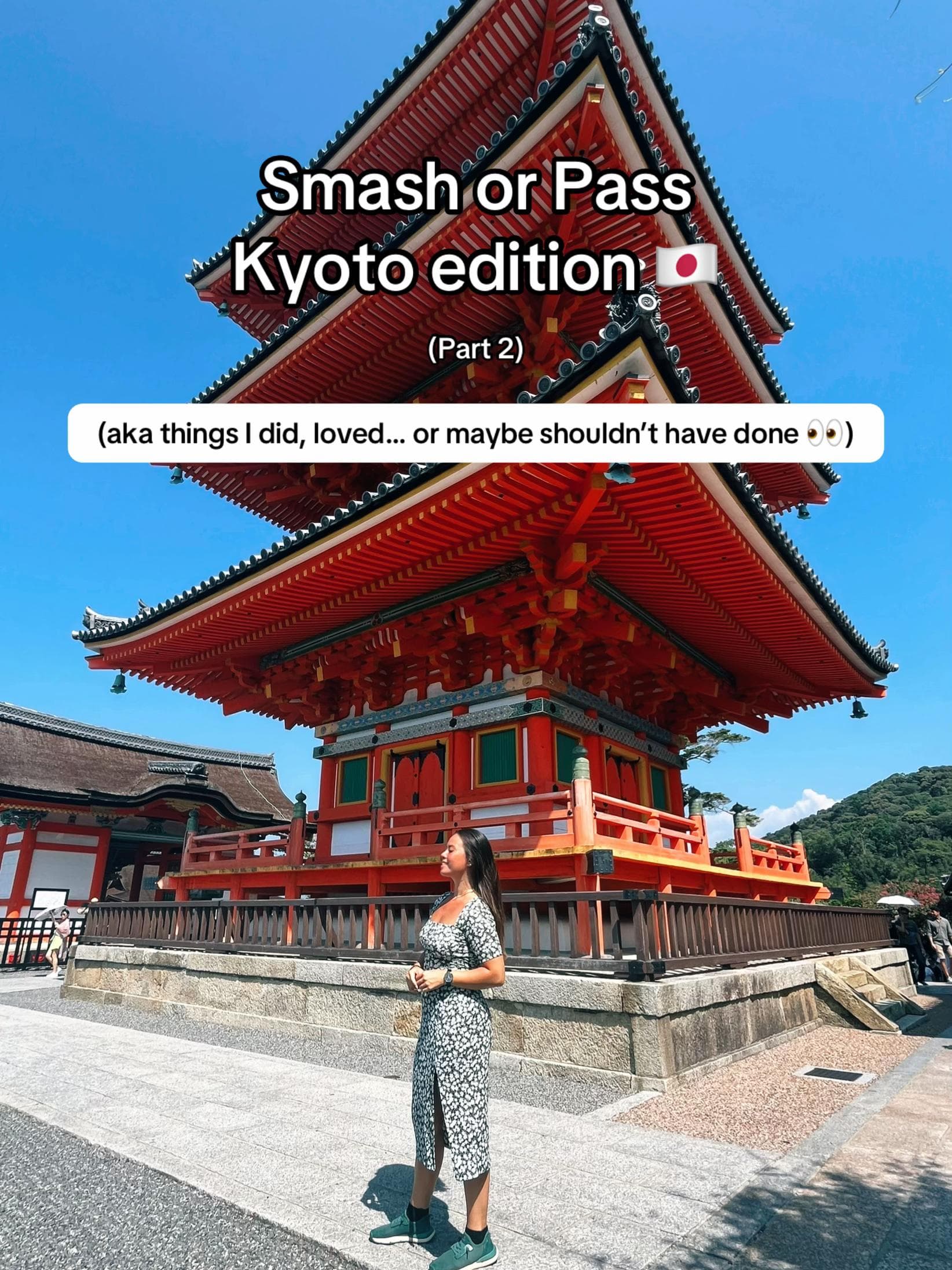 Kyoto's Temples and Scenic Train Ride