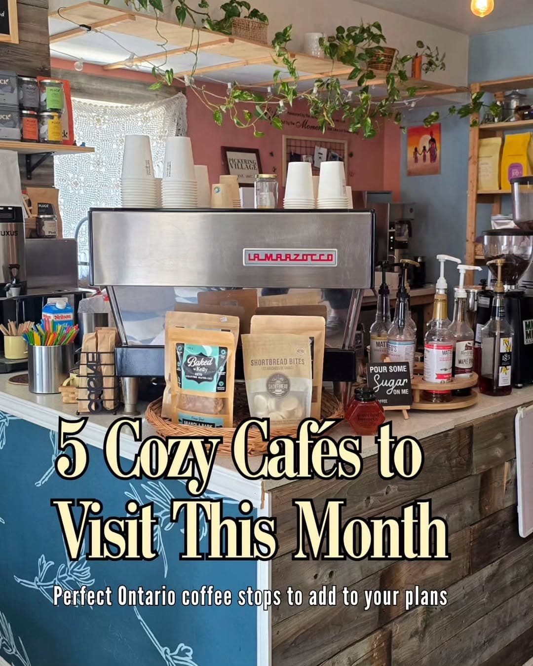 5 Cafes in Ontario