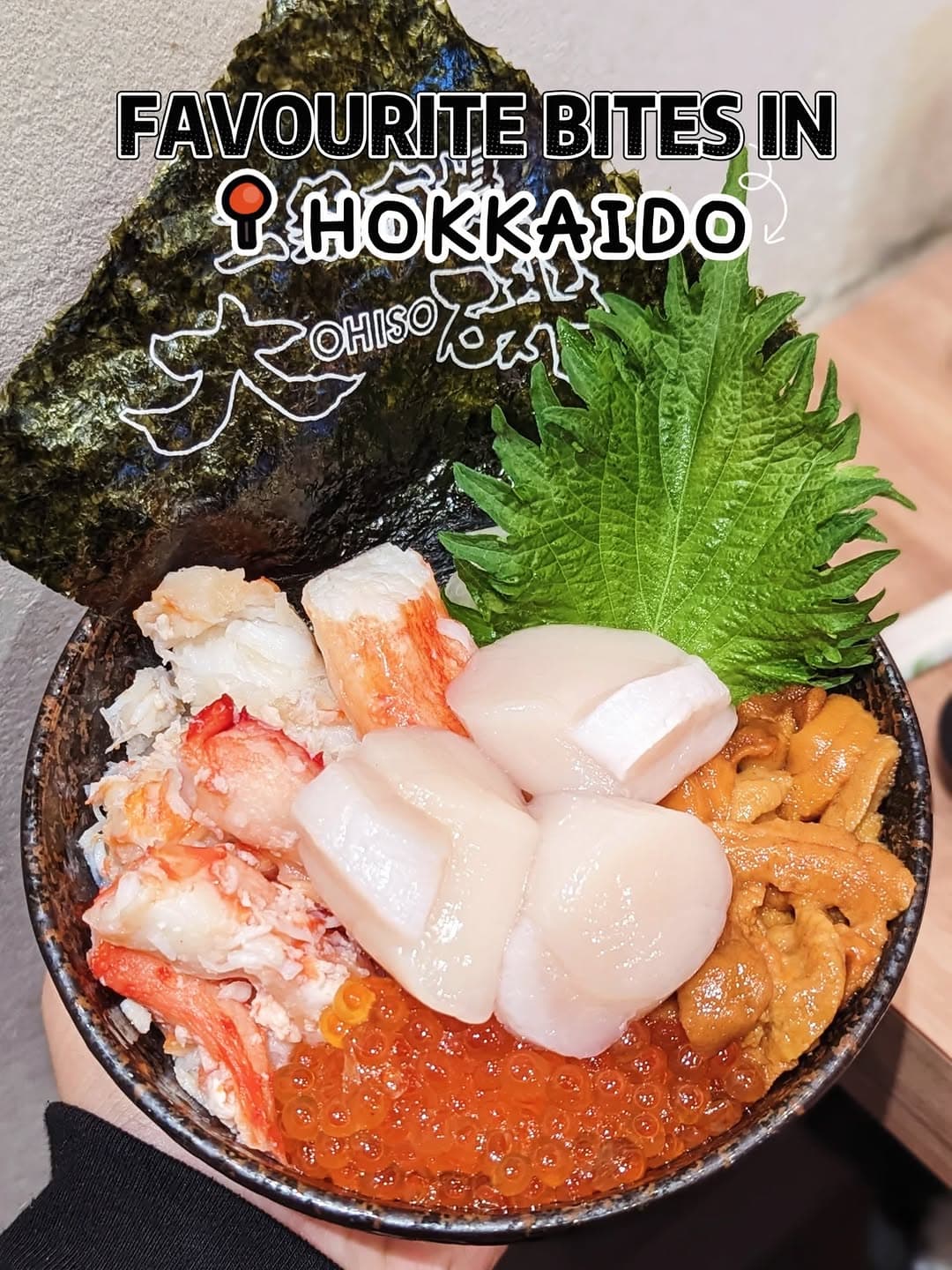 Hokkaido's Best Bites: A Culinary Tour
