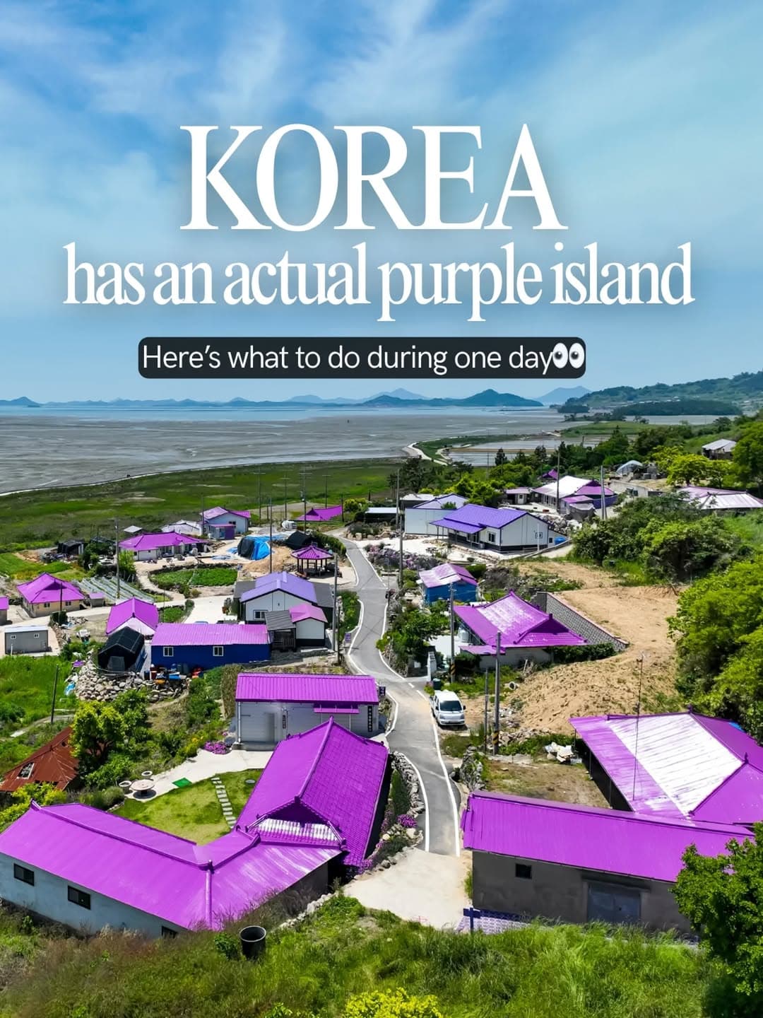 Discover Korea's Enchanting Purple Island