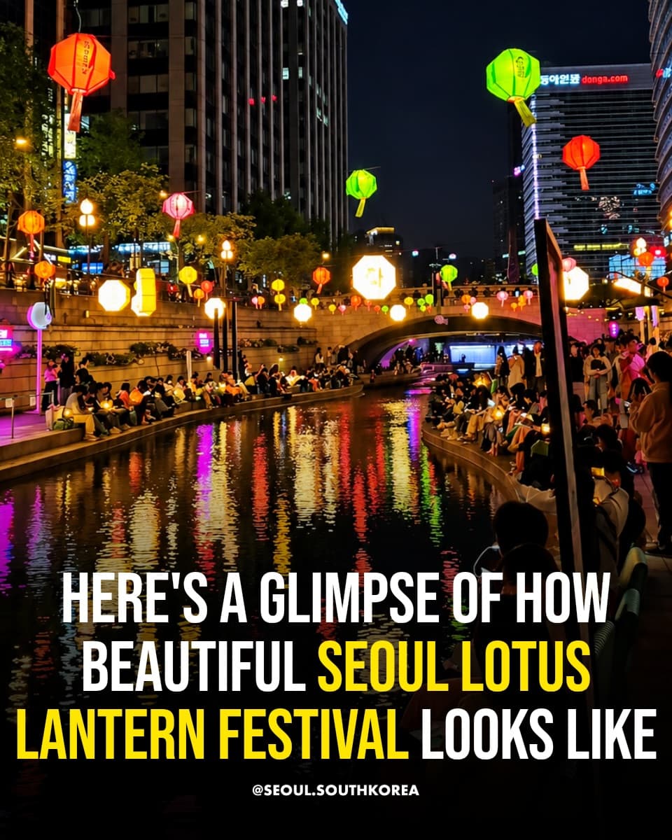Seoul Lotus Lantern Festival Through Central Seoul