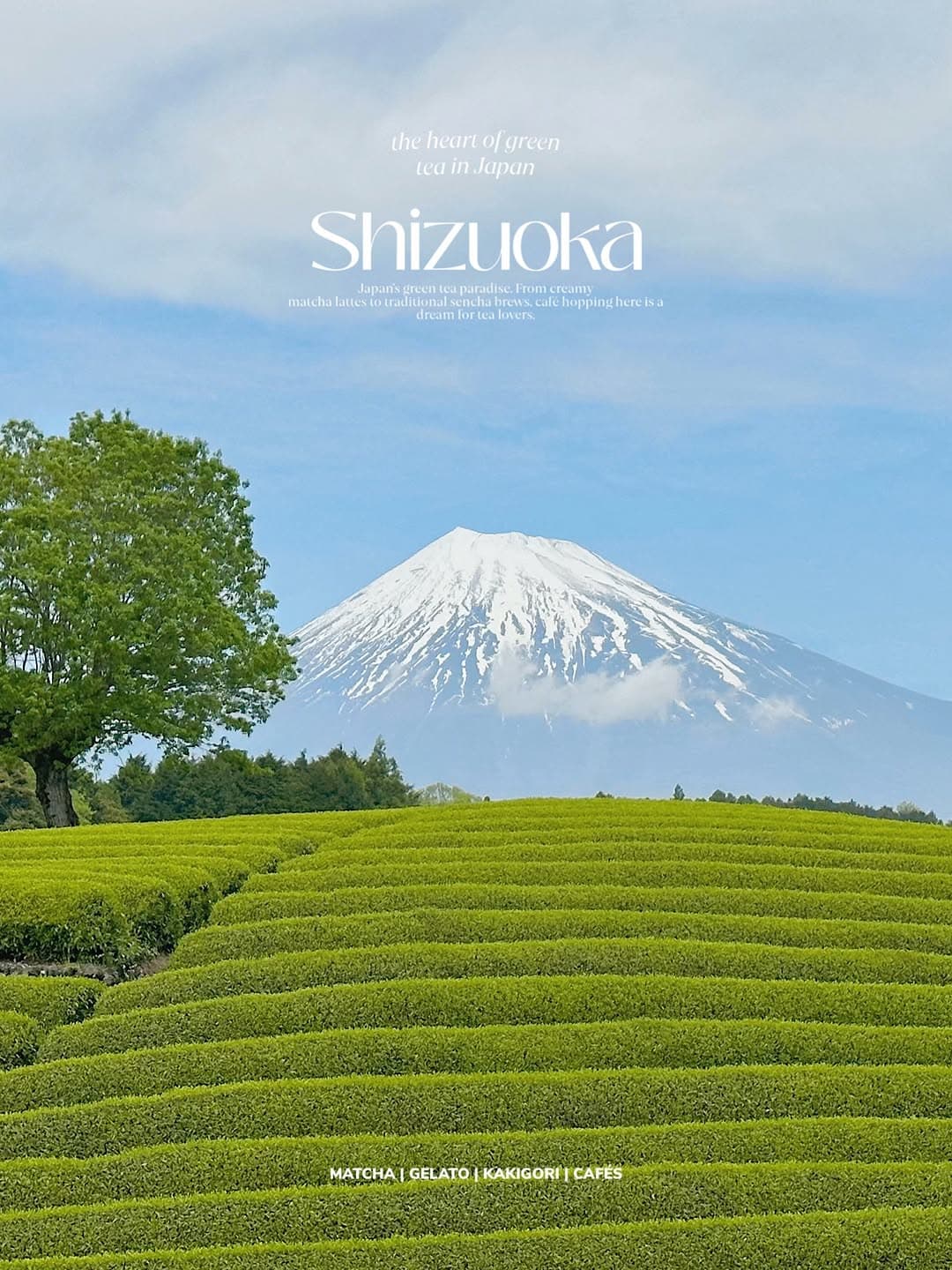 Shizuoka City's Top Matcha Spots
