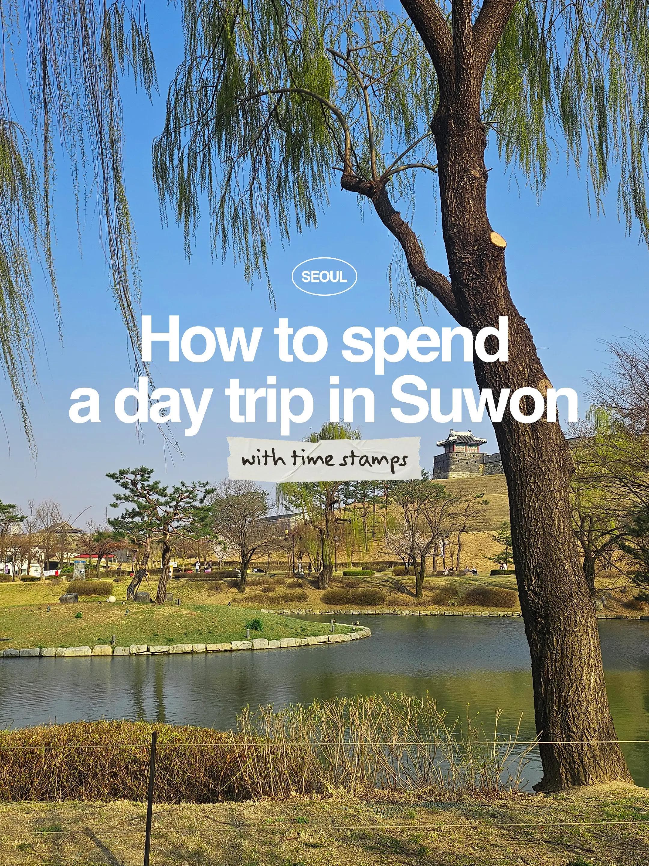 Suwon Day Trip: Fortress, Library, and K-Drama Spots