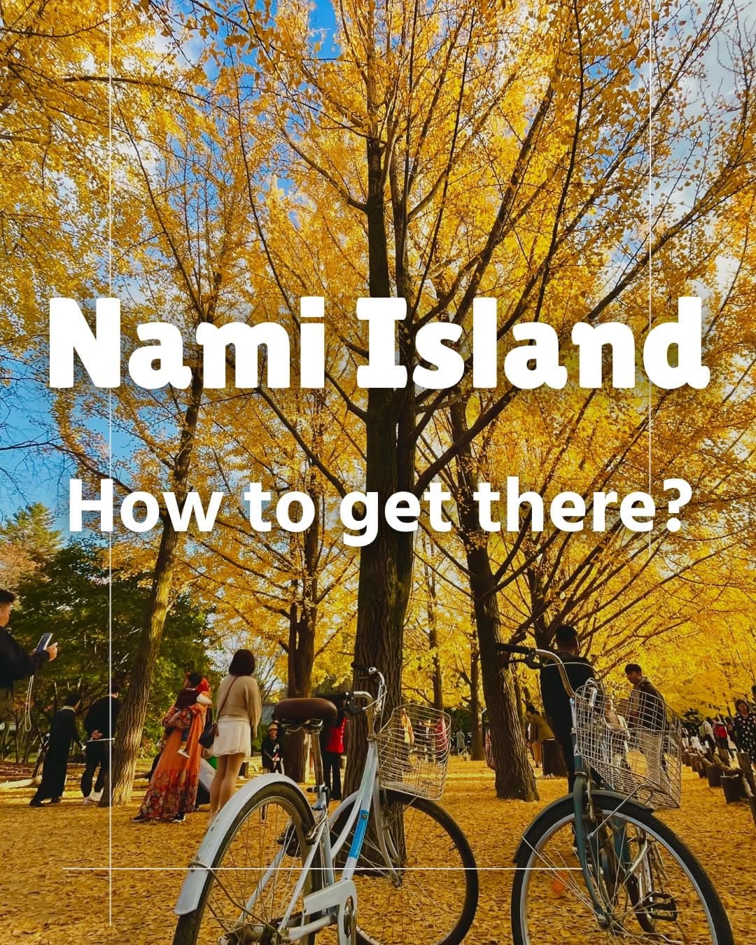 Navigating Transport to Nami Island and Seoul