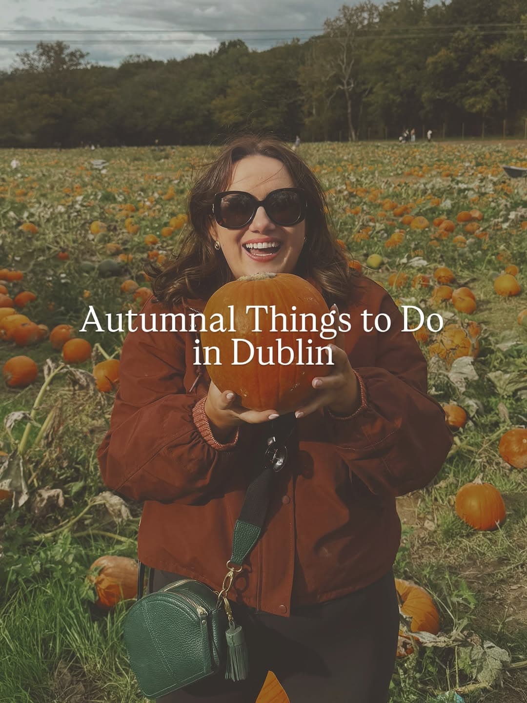Dublin Autumn Events: Lights, Markets, and Festivals