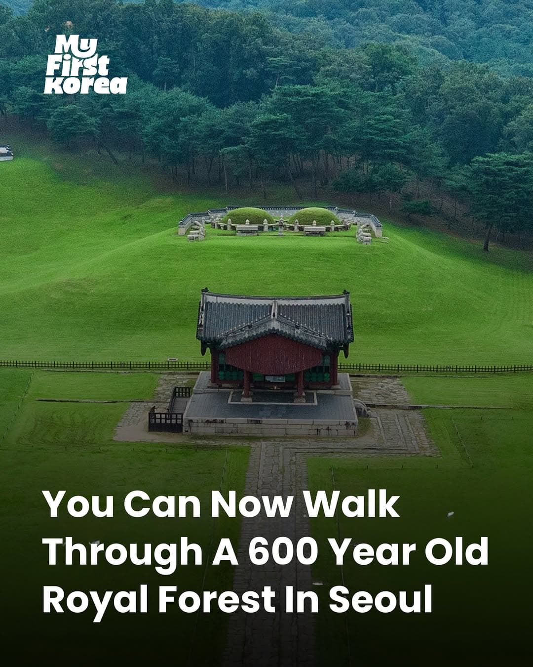 Joseon Royal Tombs Offer Unique Forest Trail Experiences