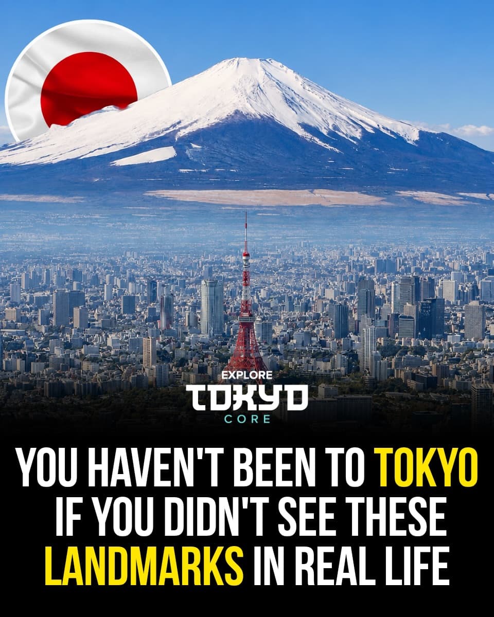 Tokyo's Must-See Landmarks and Attractions