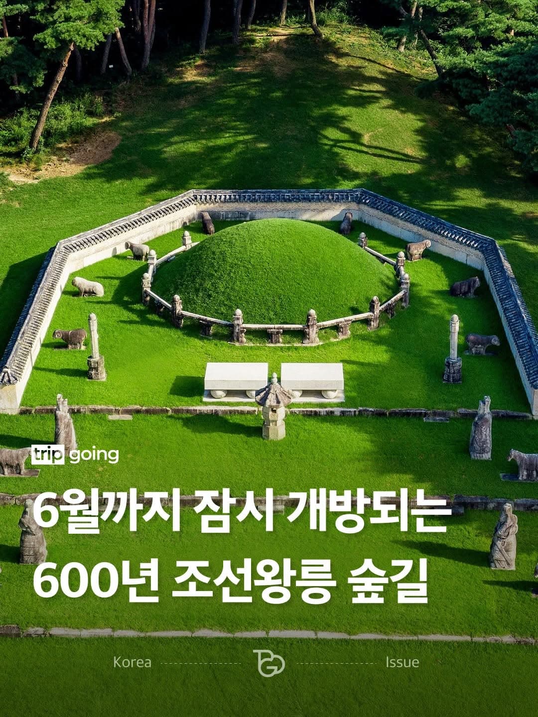 Nine Royal Tombs Offer Forest Paths