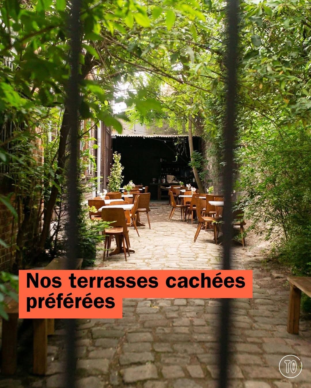 Hidden Terraces And Gardens For A Cool Drink