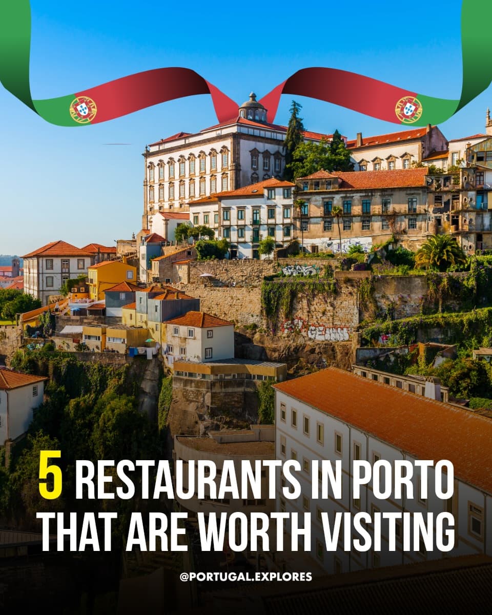 Porto Restaurants Offer Diverse Global Cuisines