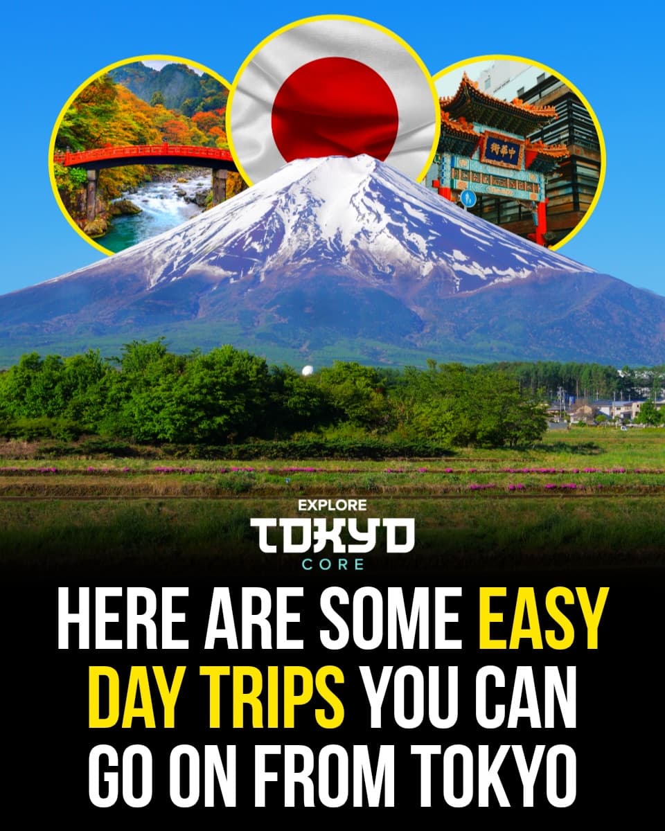 Top Tokyo Day Trips You Won't Want To Miss