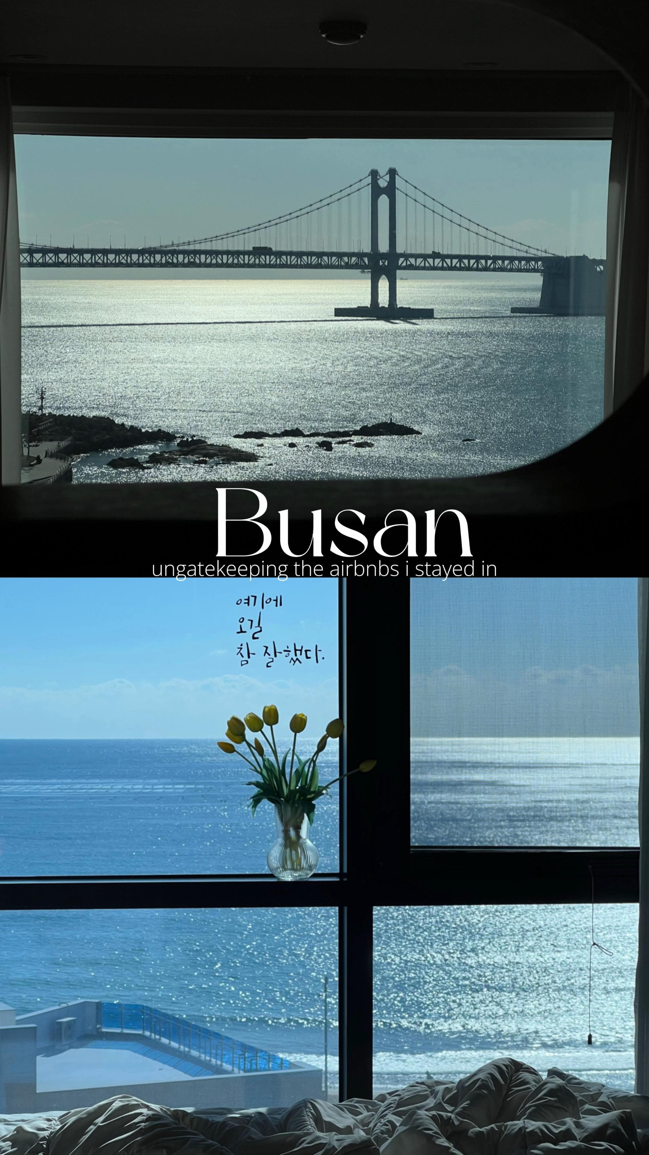 Busan's Best Neighborhoods: Beaches, Cafes, and Culture